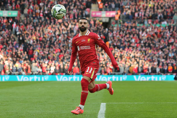 仅展示了梅 仅展示了梅