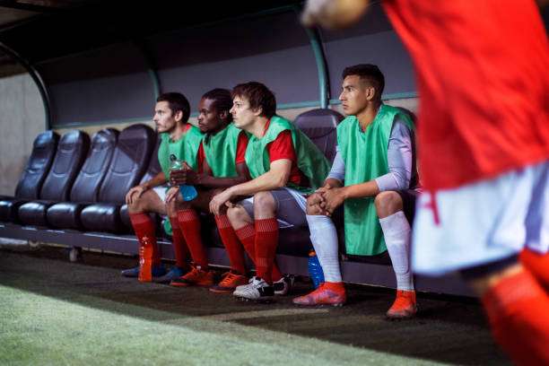 他们提供了 他们提供了