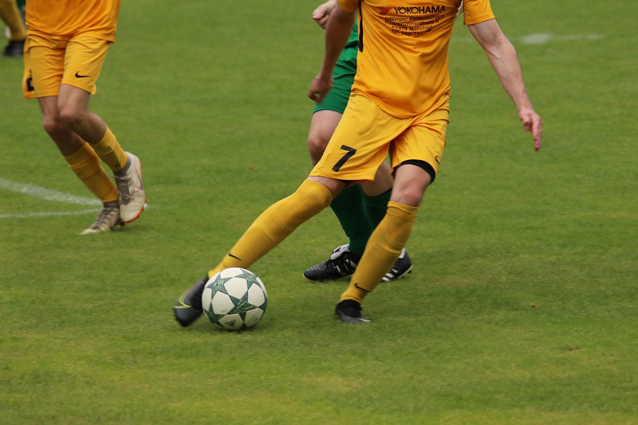 中部地区 中部地区